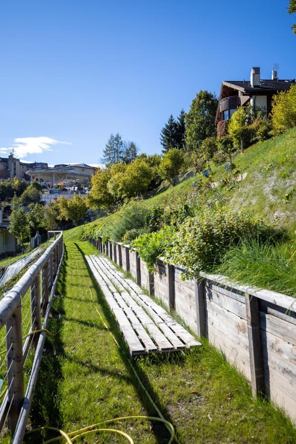 Hotel Giallo Dolomiti Wellness Pieve di Cadore Exteriér fotografie